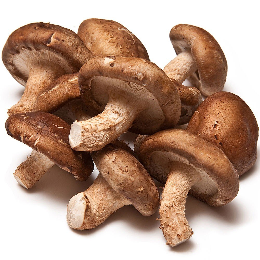 shiitake